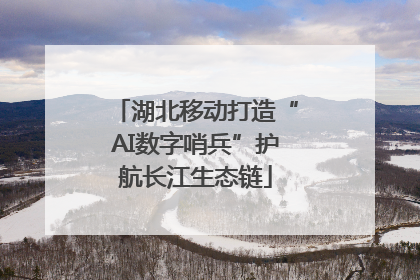 湖北移动打造“AI数字哨兵”护航长江生态链