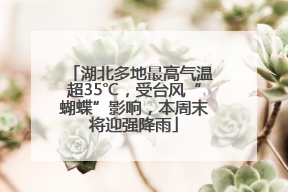 湖北多地最高气温超35℃，受台风“蝴蝶”影响，本周末将迎强降雨