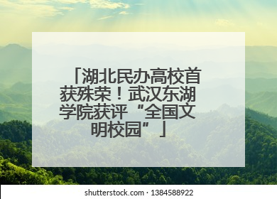 湖北民办高校首获殊荣！武汉东湖学院获评“全国文明校园”