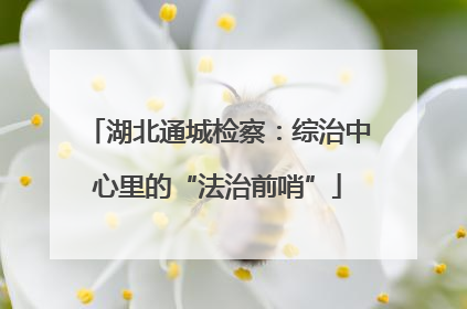 湖北通城检察：综治中心里的“法治前哨”