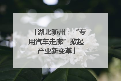 湖北随州：“专用汽车走廊”掀起产业新变革