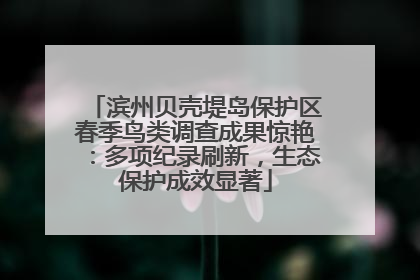 滨州贝壳堤岛保护区春季鸟类调查成果惊艳：多项纪录刷新，生态保护成效显著