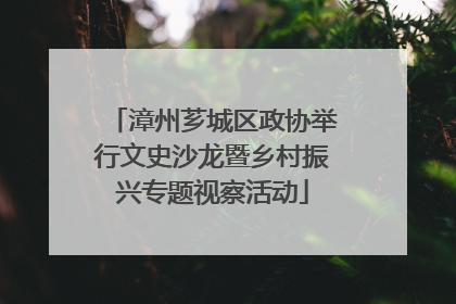 漳州芗城区政协举行文史沙龙暨乡村振兴专题视察活动