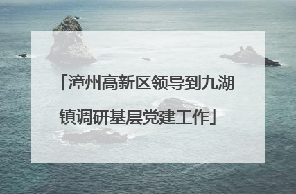 漳州高新区领导到九湖镇调研基层党建工作