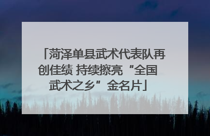 菏泽单县武术代表队再创佳绩 持续擦亮“全国武术之乡”金名片