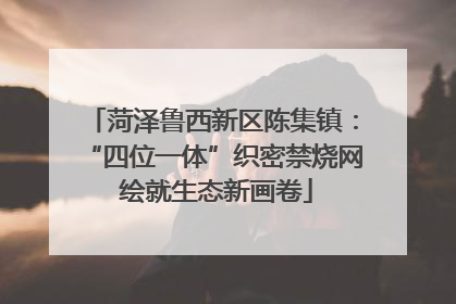 菏泽鲁西新区陈集镇：“四位一体”织密禁烧网 绘就生态新画卷