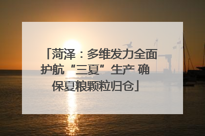 菏泽：多维发力全面护航“三夏”生产 确保夏粮颗粒归仓