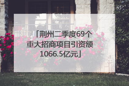 荆州二季度69个重大招商项目引资额1066.5亿元