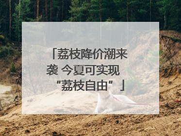 荔枝降价潮来袭 今夏可实现“荔枝自由”