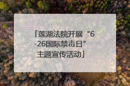 莲湖法院开展“6·26国际禁毒日”主题宣传活动