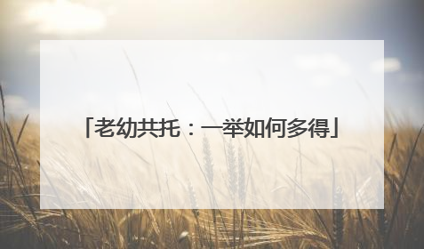 老幼共托：一举如何多得