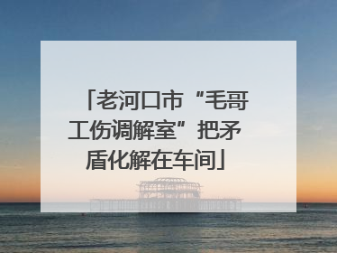 老河口市“毛哥工伤调解室”把矛盾化解在车间