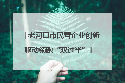 老河口市民营企业创新驱动领跑“双过半”