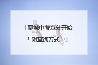 聊城中考查分开始！附查询方式→