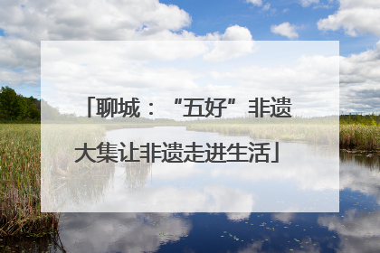 聊城：“五好”非遗大集让非遗走进生活