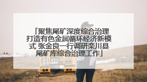 聚焦尾矿深度综合治理 打造有色金属循环经济新模式 张金良一行调研栾川县尾矿库综合治理工作