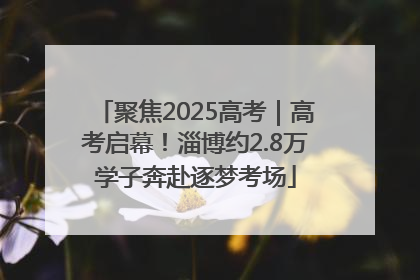 聚焦2025高考｜高考启幕！淄博约2.8万学子奔赴逐梦考场