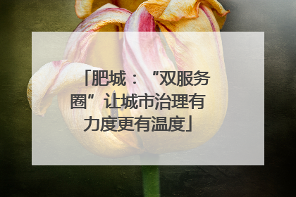 肥城：“双服务圈”让城市治理有力度更有温度