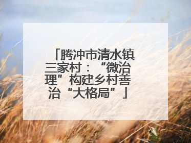 腾冲市清水镇三家村：“微治理”构建乡村善治“大格局”