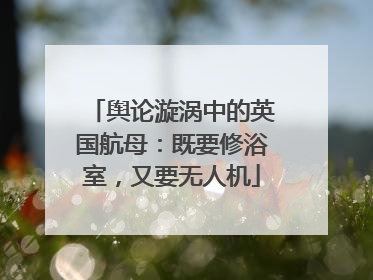 舆论漩涡中的英国航母：既要修浴室，又要无人机