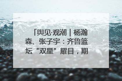舆见·观潮｜杨瀚森、张子宇：齐鲁篮坛“双星”耀目，期许与挑战并存