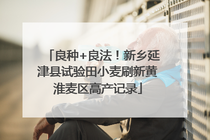 良种+良法！新乡延津县试验田小麦刷新黄淮麦区高产记录