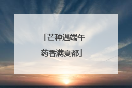 芒种遇端午 药香满夏都