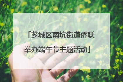 芗城区南坑街道侨联举办端午节主题活动