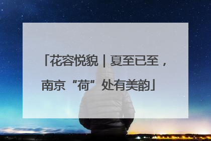 花容悦貌｜夏至已至，南京“荷”处有美韵