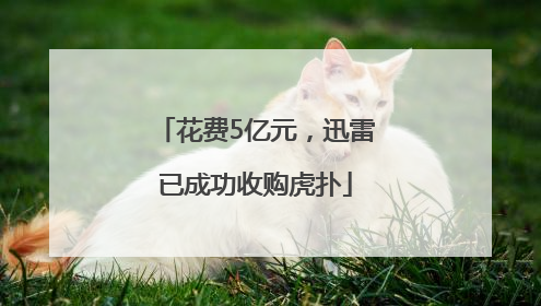 花费5亿元，迅雷已成功收购虎扑
