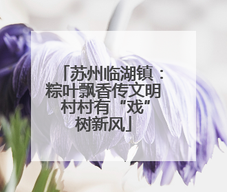 苏州临湖镇：粽叶飘香传文明 村村有“戏”树新风