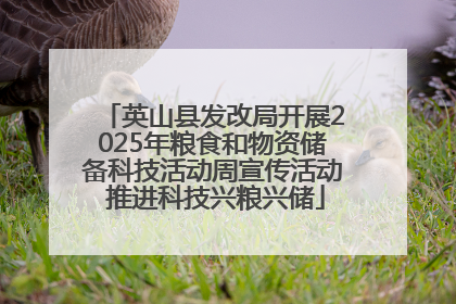 英山县发改局开展2025年粮食和物资储备科技活动周宣传活动 推进科技兴粮兴储