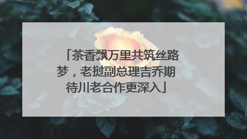 茶香飘万里共筑丝路梦，老挝副总理吉乔期待川老合作更深入