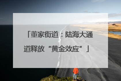 董家街道：陆海大通道释放“黄金效应”