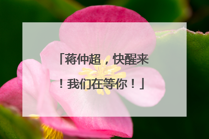 蒋仲超，快醒来！我们在等你！