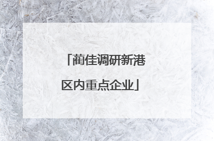 蔺佳调研新港区内重点企业