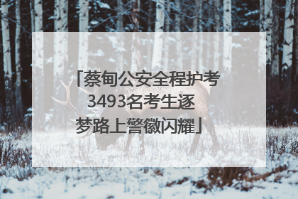 蔡甸公安全程护考 3493名考生逐梦路上警徽闪耀