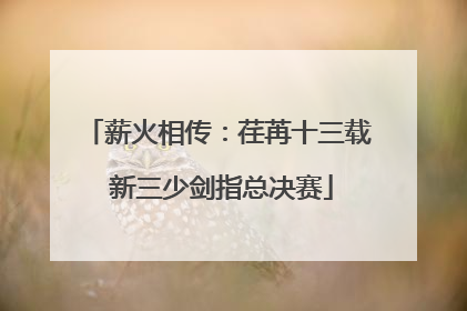 薪火相传：荏苒十三载 新三少剑指总决赛