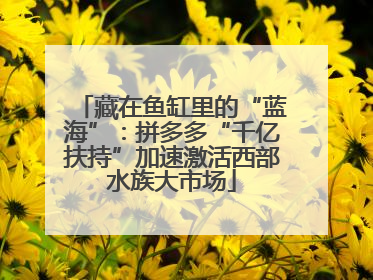 藏在鱼缸里的“蓝海”：拼多多“千亿扶持”加速激活西部水族大市场