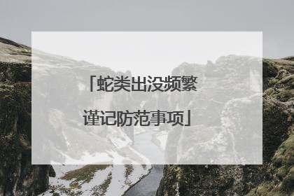 蛇类出没频繁 谨记防范事项