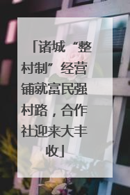 诸城“整村制”经营铺就富民强村路，合作社迎来大丰收
