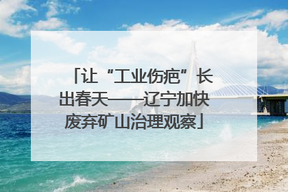 让“工业伤疤”长出春天——辽宁加快废弃矿山治理观察