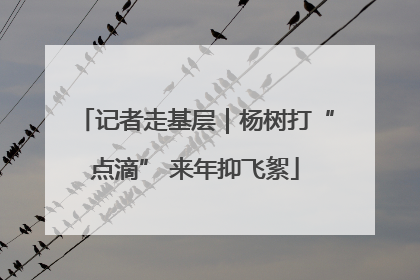 记者走基层｜杨树打“点滴” 来年抑飞絮