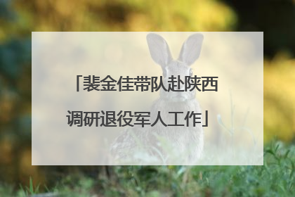 裴金佳带队赴陕西调研退役军人工作