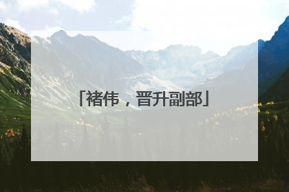褚伟，晋升副部