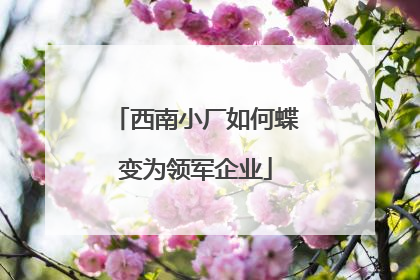 西南小厂如何蝶变为领军企业