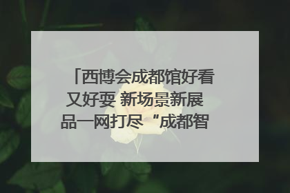 西博会成都馆好看又好耍 新场景新展品一网打尽“成都智造”｜西博视界