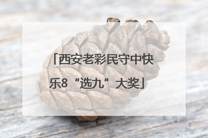 西安老彩民守中快乐8“选九”大奖