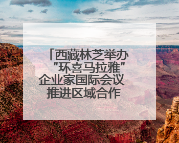 西藏林芝举办“环喜马拉雅”企业家国际会议 推进区域合作与开放
