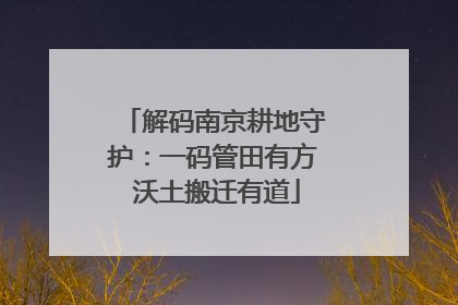 解码南京耕地守护：一码管田有方 沃土搬迁有道